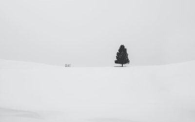 15 Consejos de Fotografía en Blanco y Negro (Monocromática)
