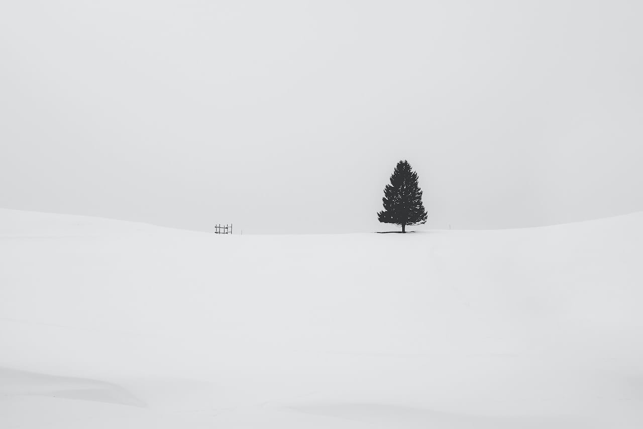 15 Consejos de Fotografía en Blanco y Negro (Monocromática)